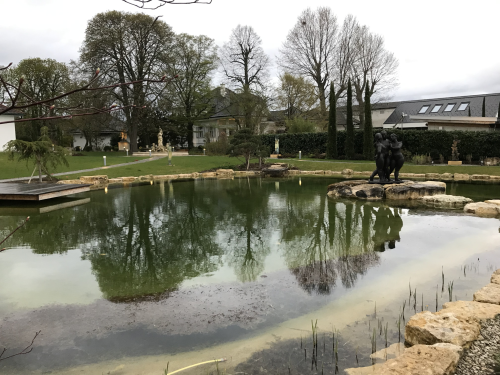 Der großzügige Schwimmteich